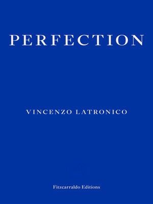 cover image of Perfection